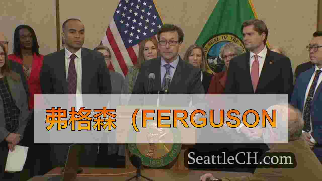 西雅图新闻 SeattleCH