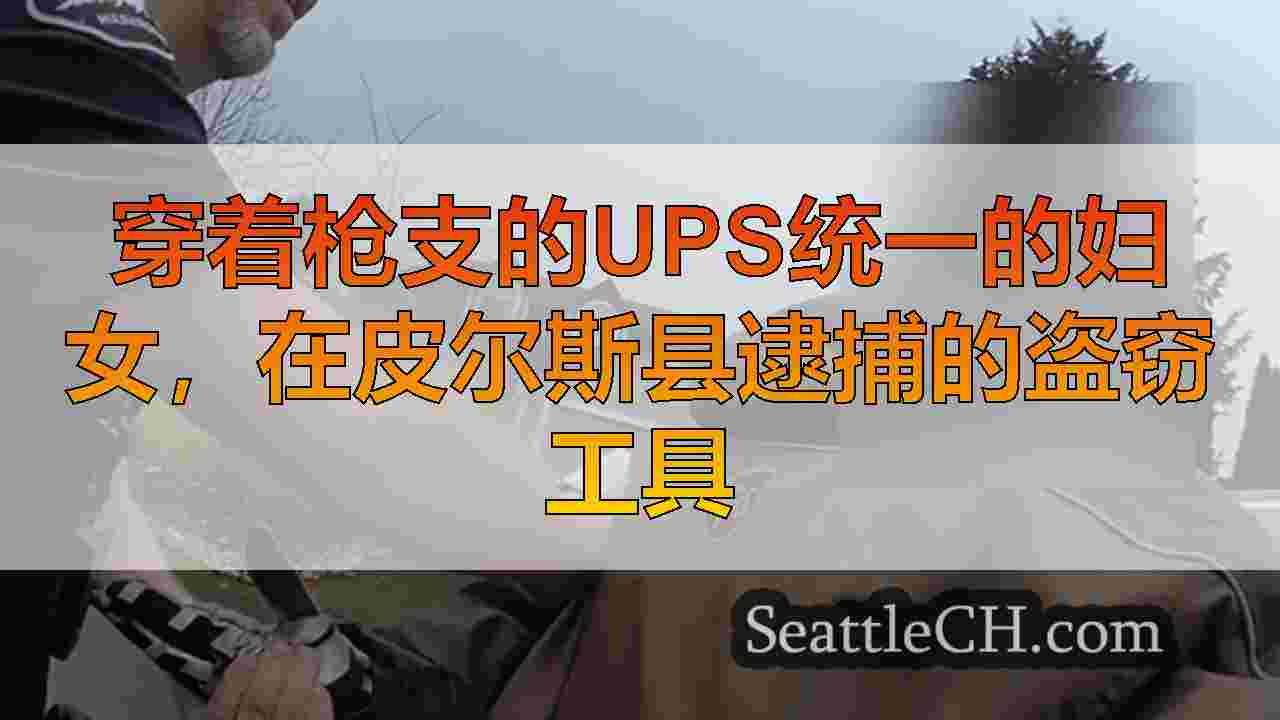 穿着枪支的UPS统一的妇女，在皮尔斯县逮捕的盗窃工具
