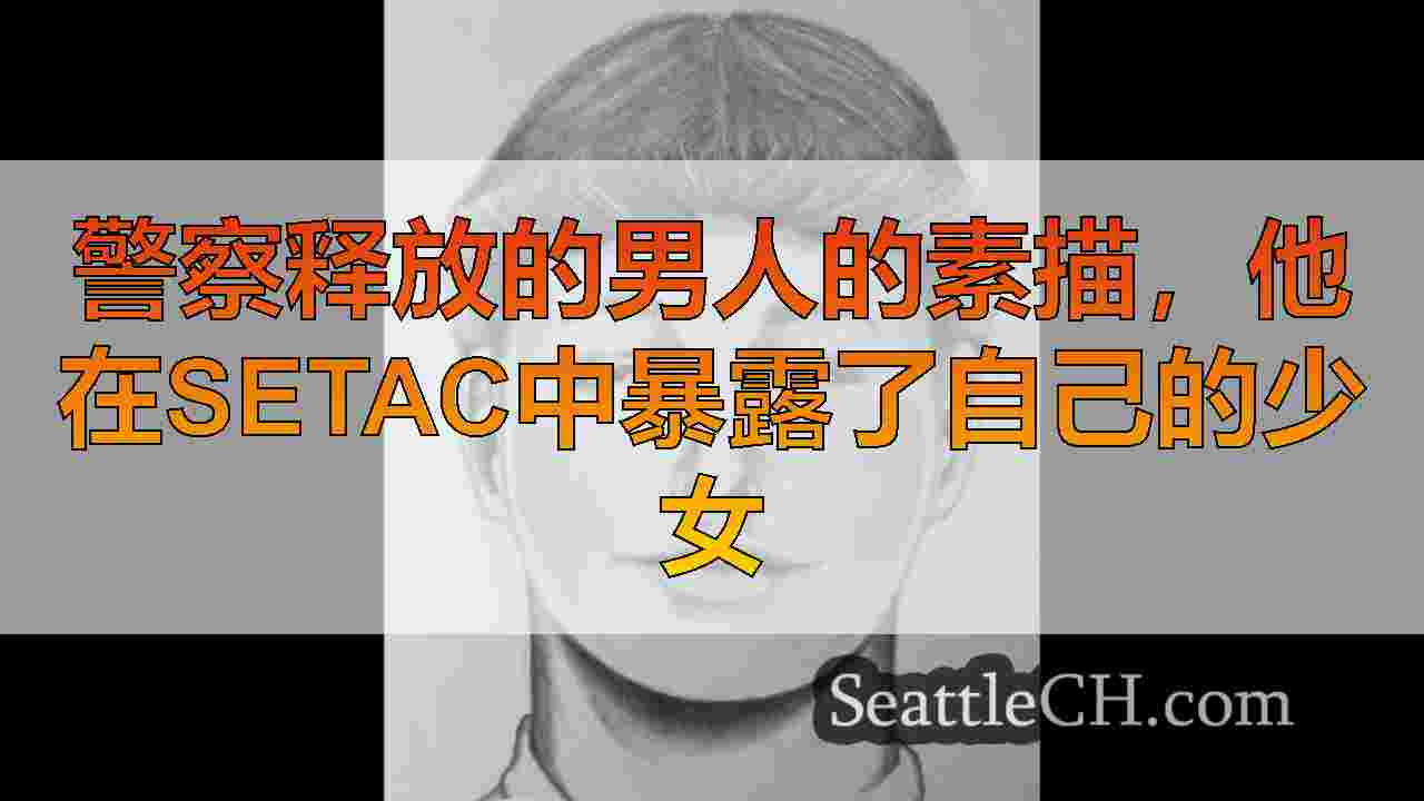 警察释放的男人的素描，他在SETAC中暴露了自己的少女