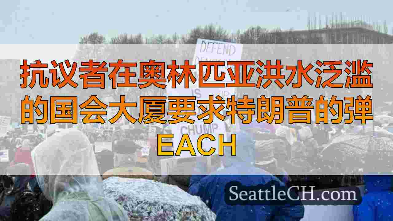 西雅图新闻 SeattleCH