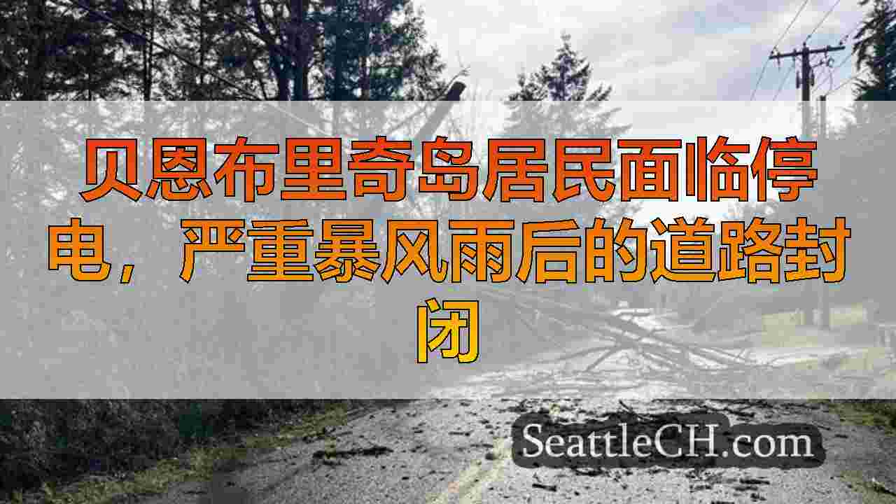 西雅图新闻 SeattleCH
