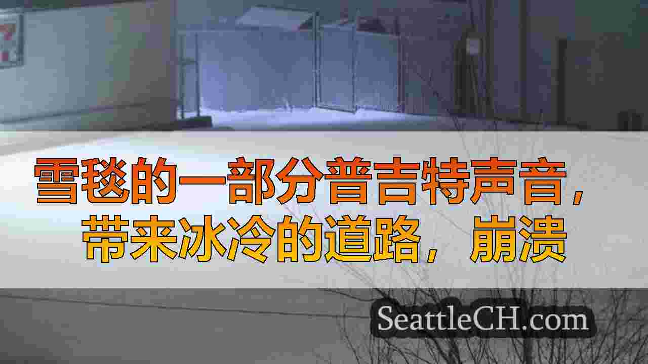 西雅图新闻 SeattleCH