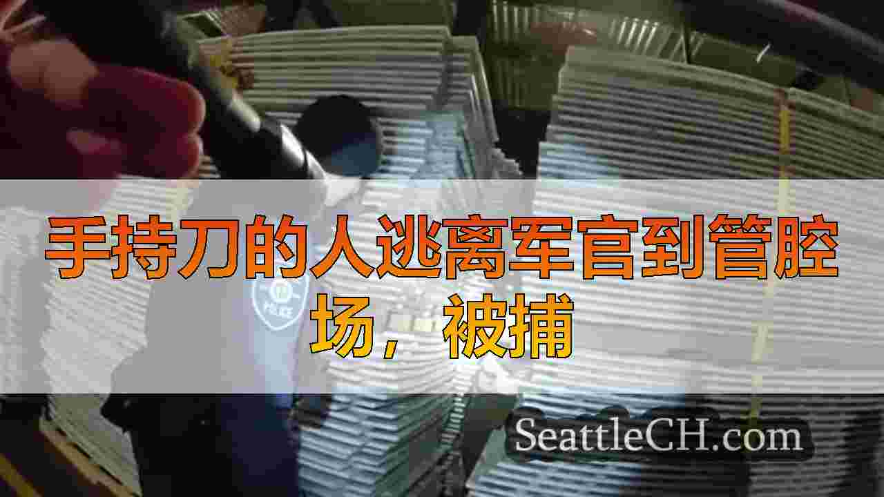 手持刀的人逃离军官到管腔场，被捕