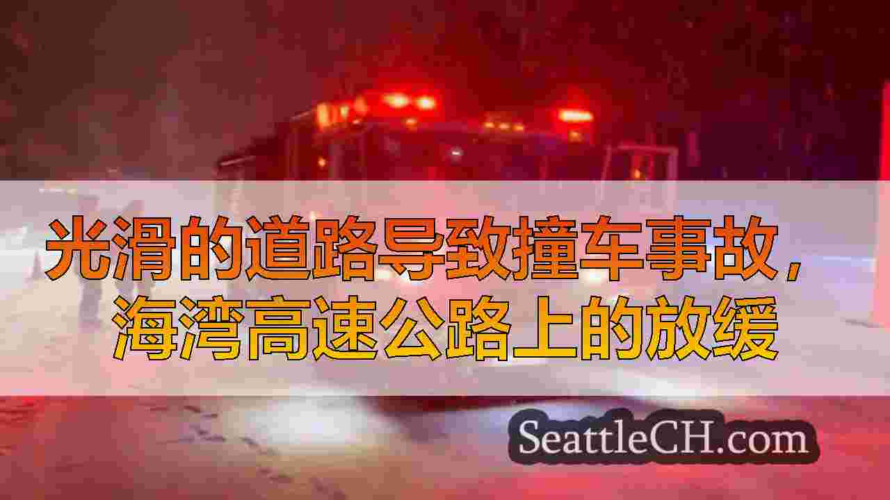 光滑的道路导致撞车事故，海湾高速公路上的放缓