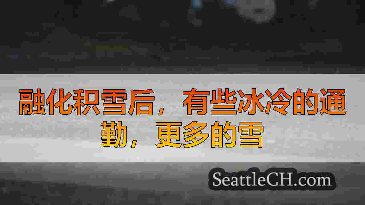西雅图新闻 SeattleCH