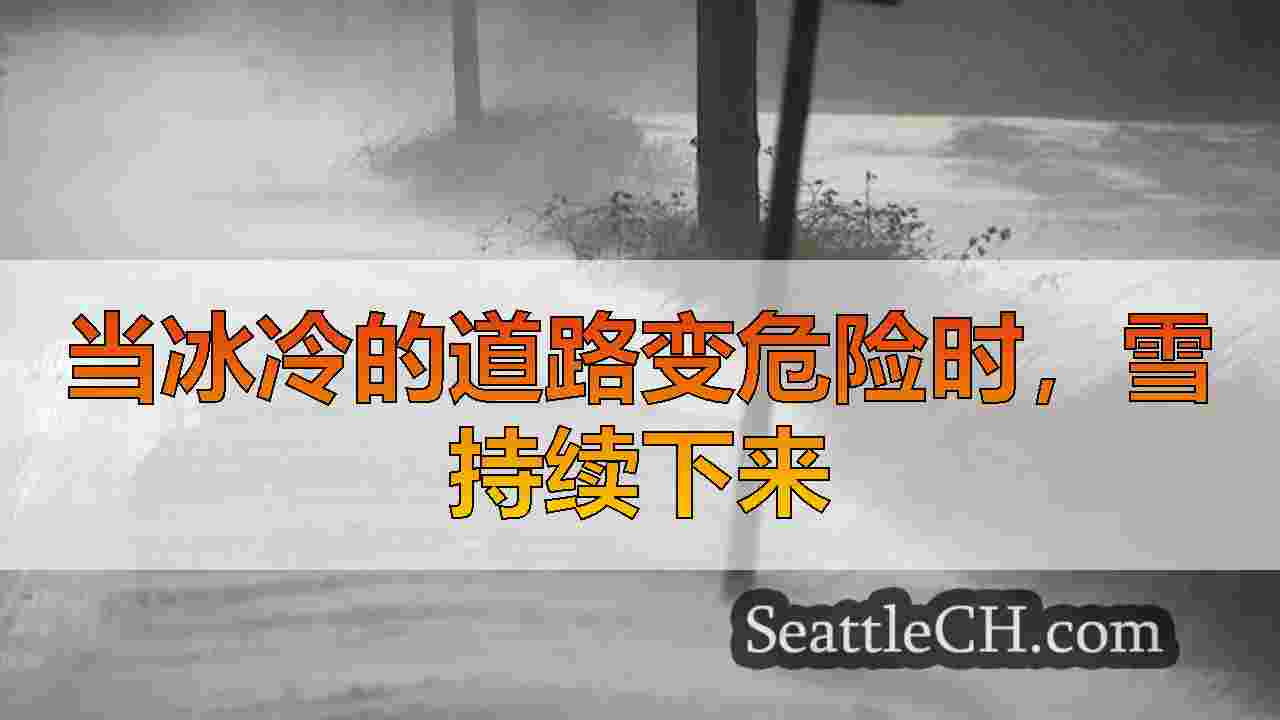 西雅图新闻 SeattleCH