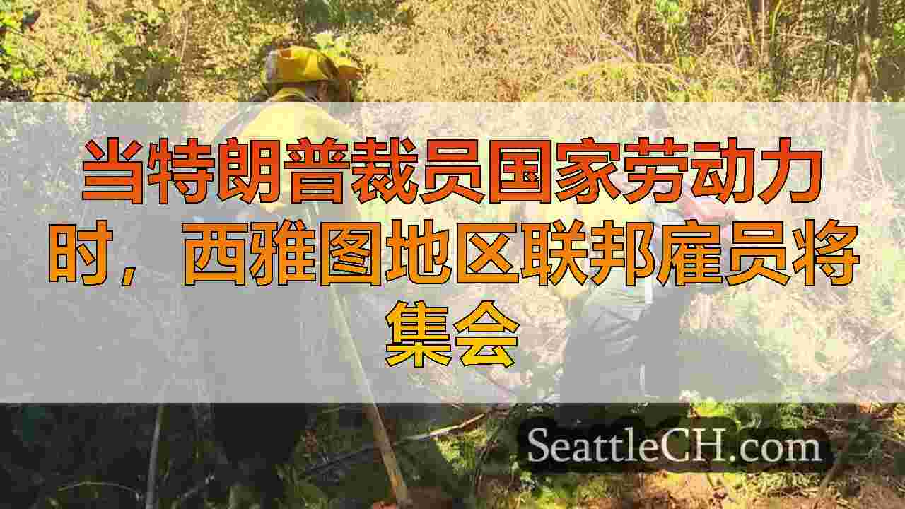 当特朗普裁员国家劳动力时，西雅图地区联邦雇员将集会