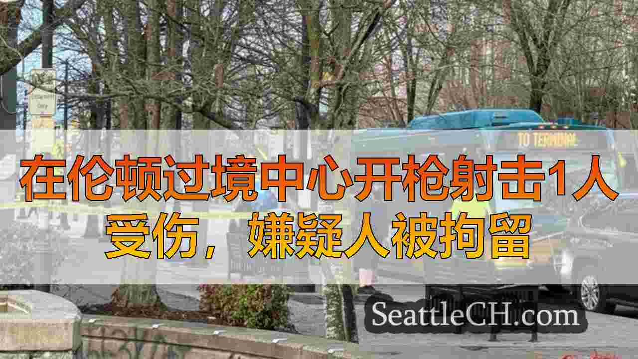 西雅图新闻 SeattleCH