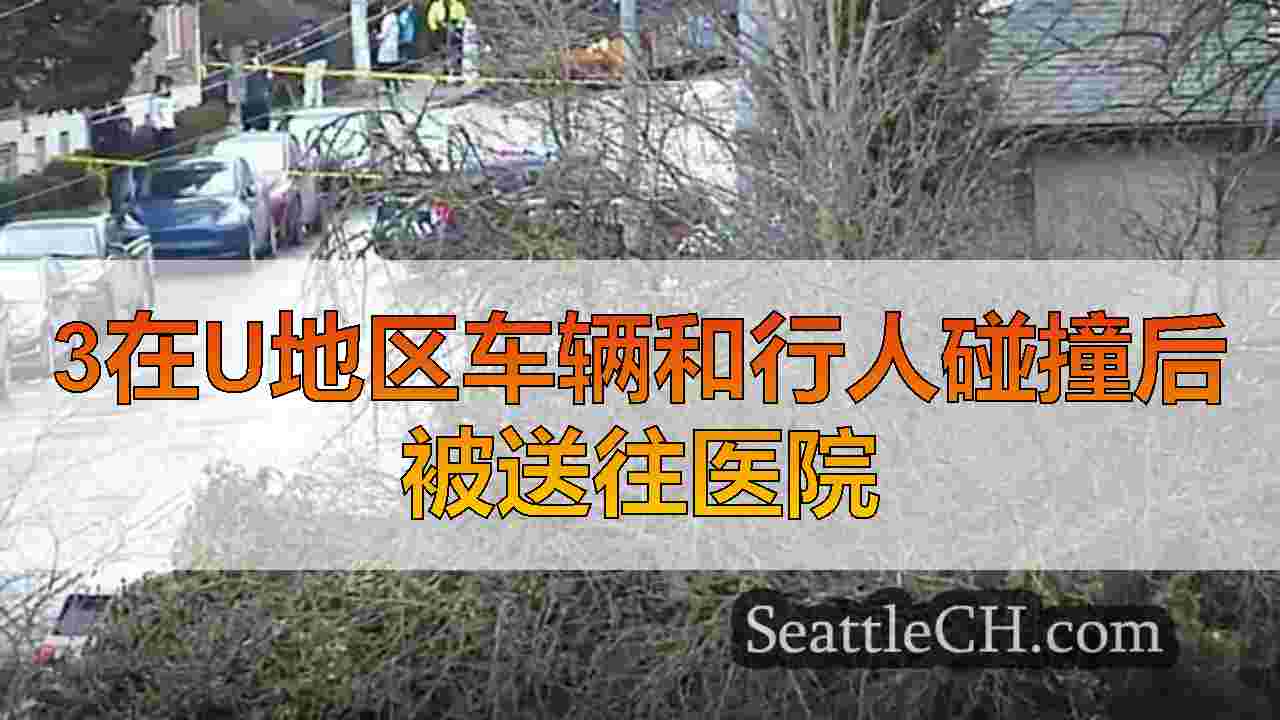 西雅图新闻 SeattleCH