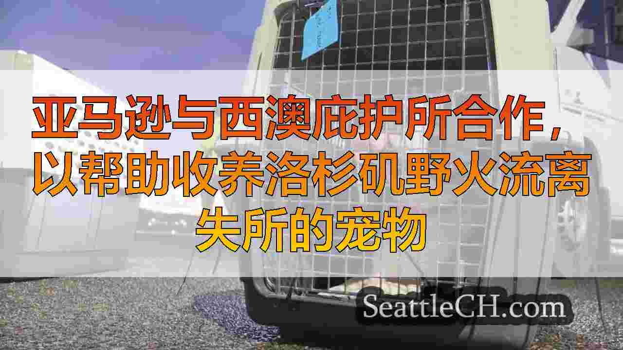 亚马逊与西澳庇护所合作，以帮助收养洛杉矶野火流离失所的宠物