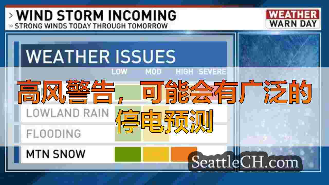 西雅图新闻 SeattleCH