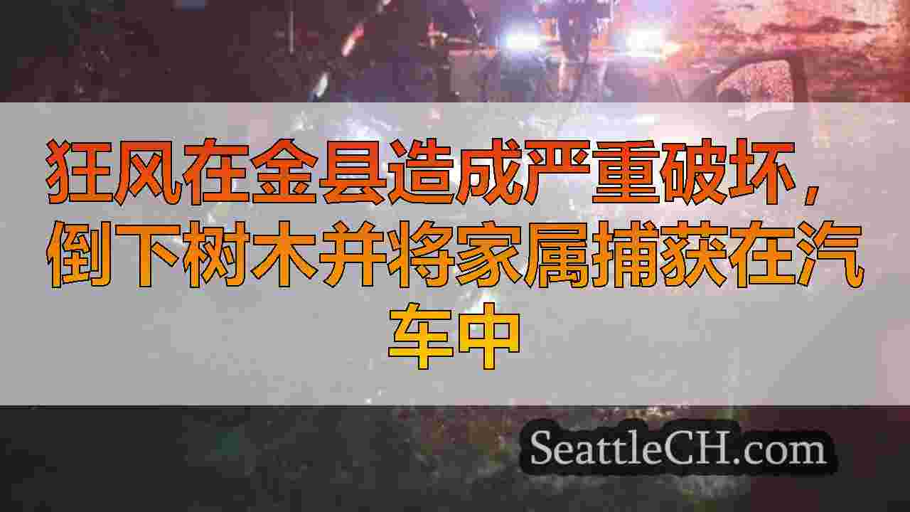 西雅图新闻 SeattleCH