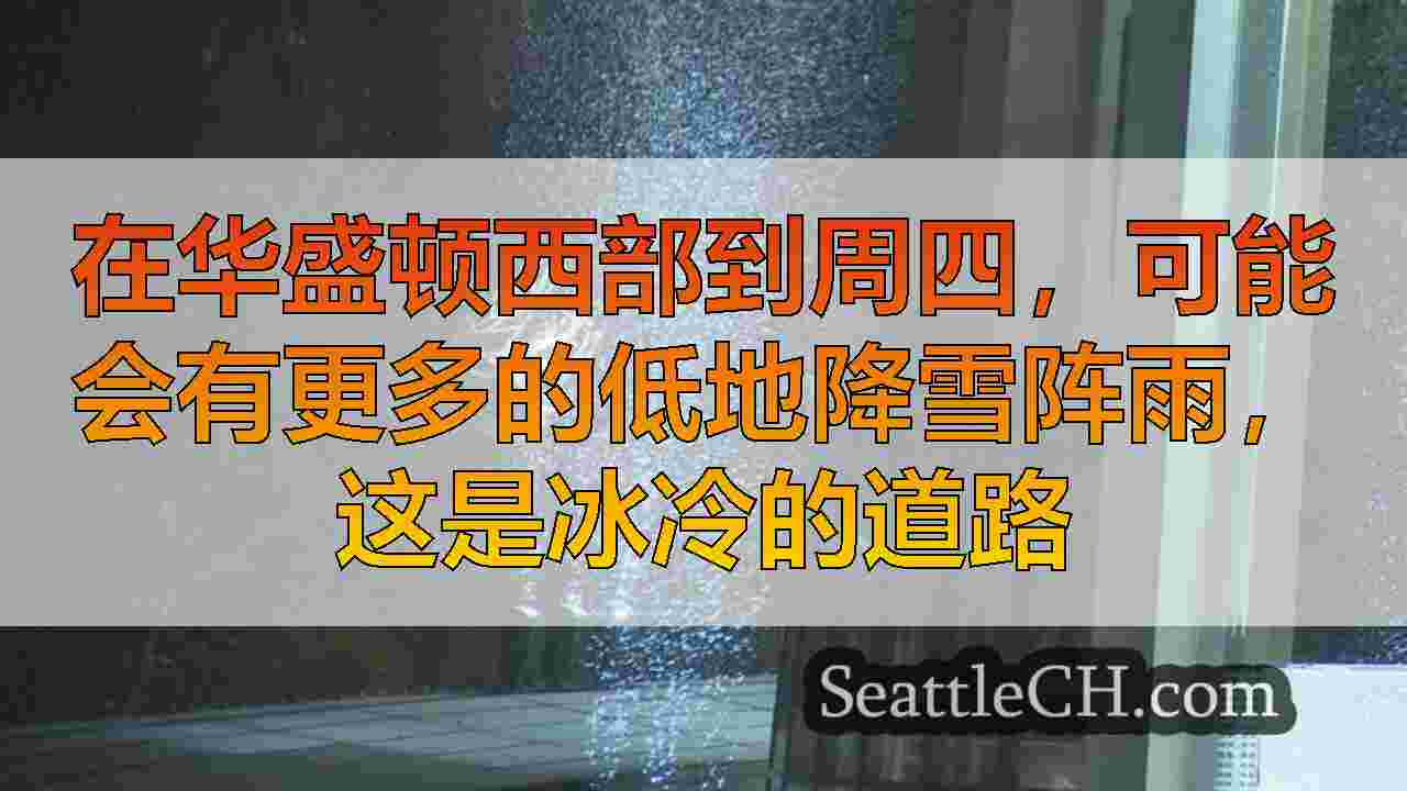 西雅图新闻 SeattleCH