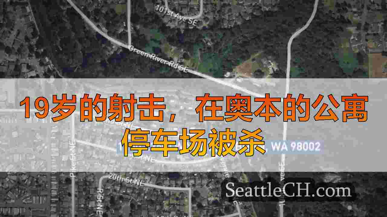 19岁的射击，在奥本的公寓停车场被杀