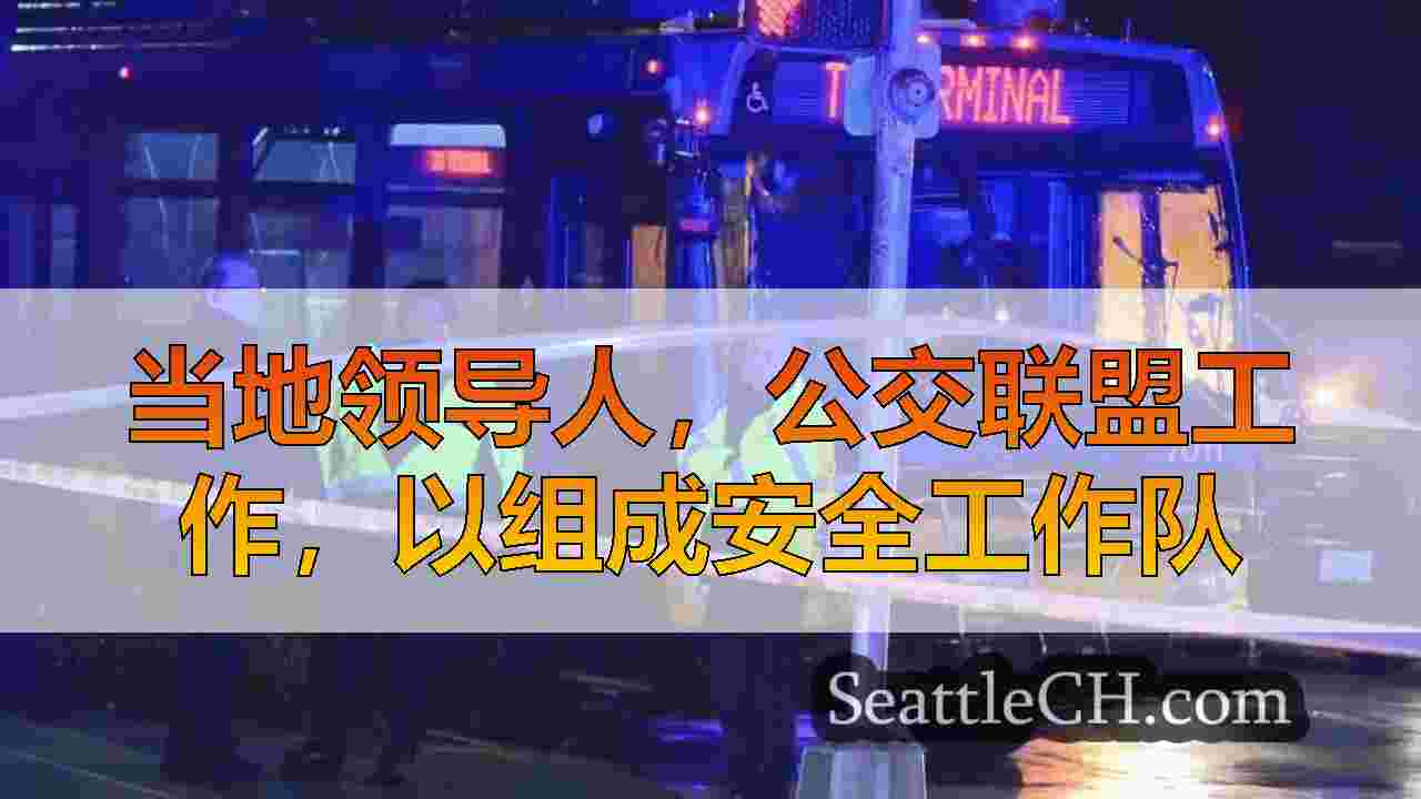 当地领导人，公交联盟工作，以组成安全工作队