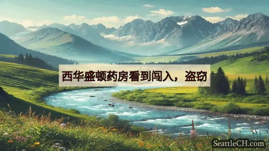 西雅图新闻 西华盛顿药房看到闯入，盗窃