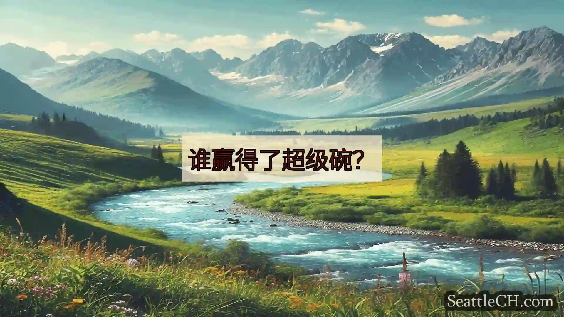 西雅图新闻 谁赢得了超级碗？