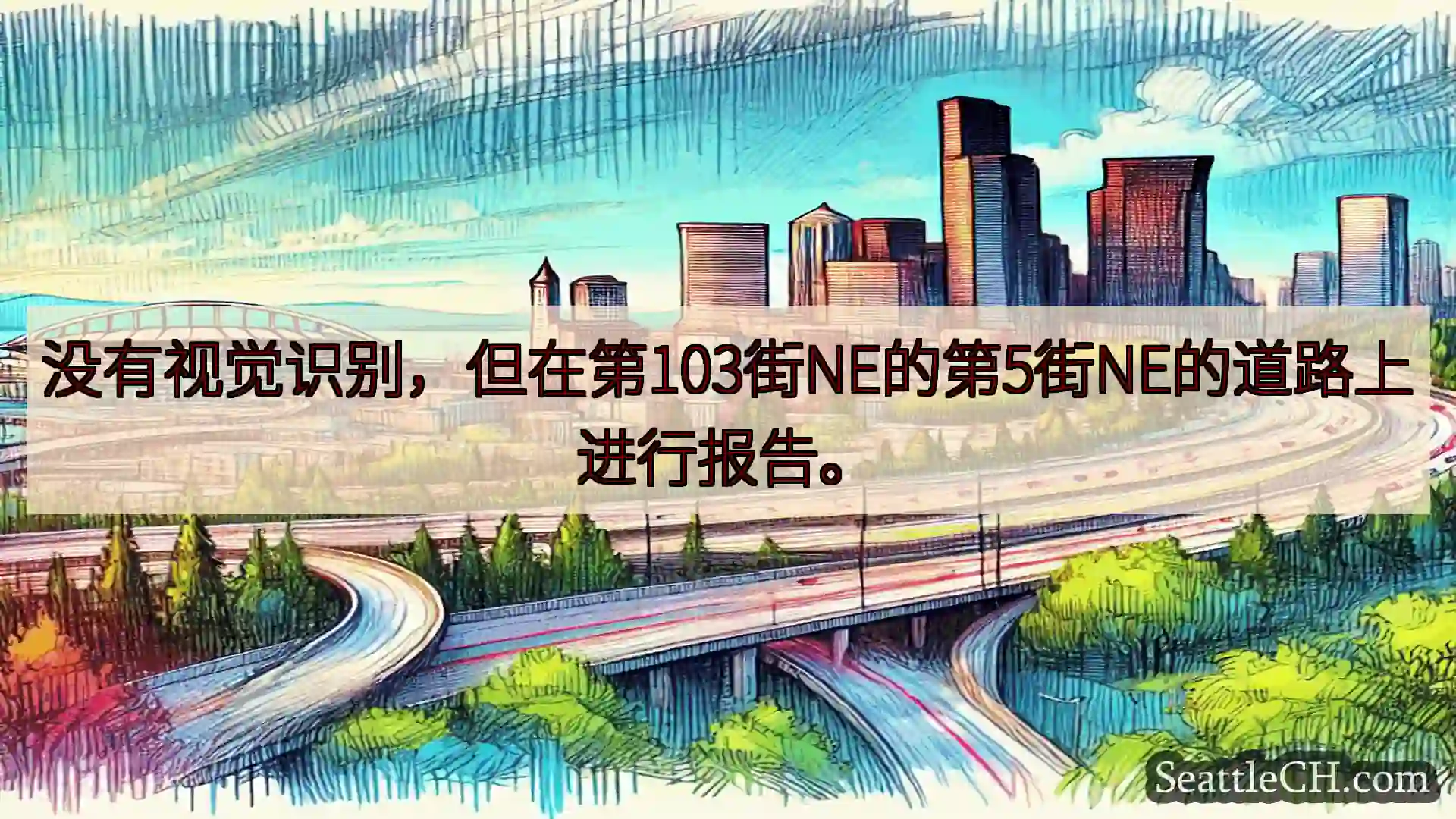 没有视觉识别，但在第103街NE的第5街NE的道路上进行报告。