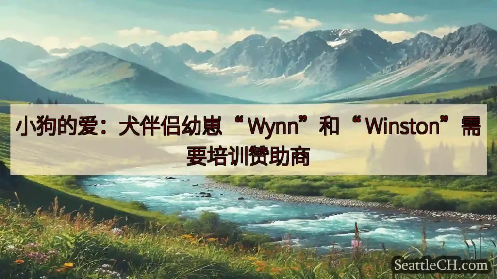 小狗的爱：犬伴侣幼崽“ Wynn”和“ Winston”需要培训赞助商