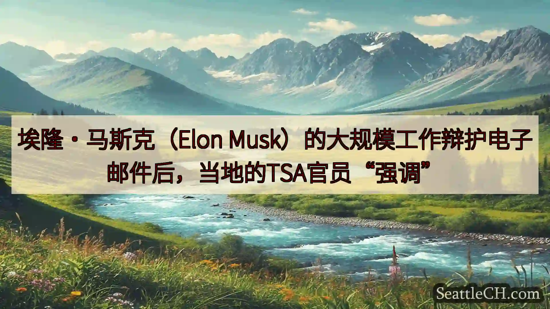 埃隆·马斯克（Elon Musk）的大规模工作辩护电子邮件后，当地的TSA官员“强调”