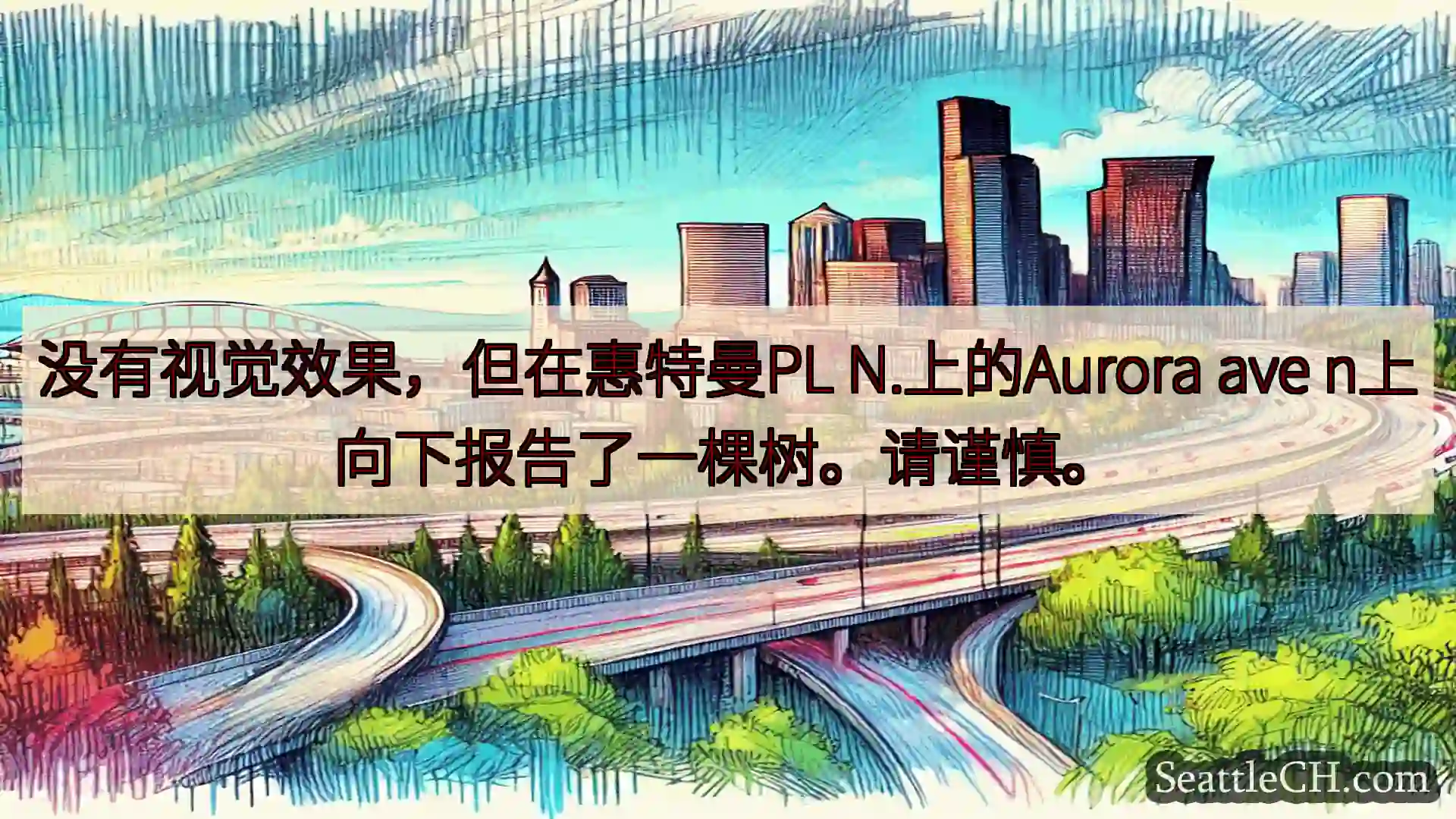 没有视觉效果，但在惠特曼PL N.上的Aurora ave n上向下报告了一棵树。请谨慎。