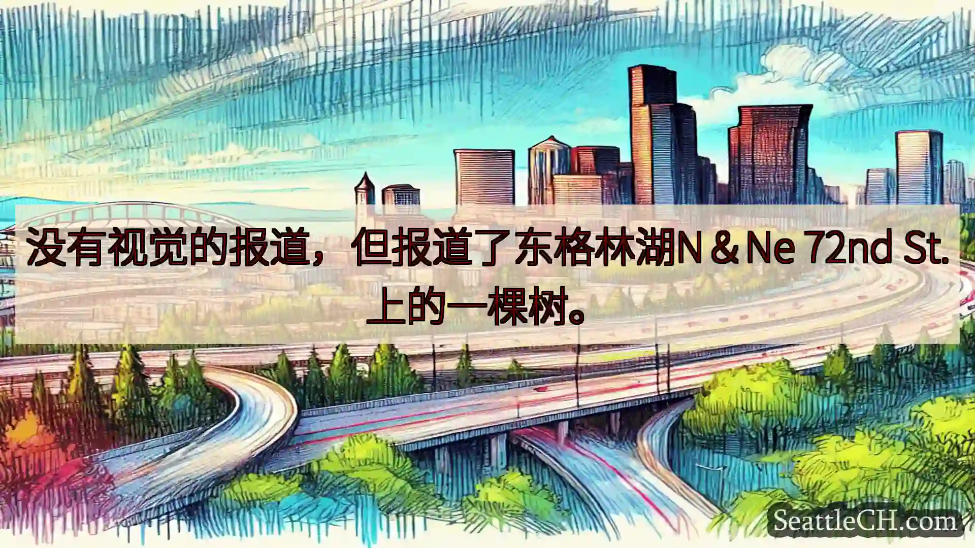 没有视觉的报道，但报道了东格林湖N＆Ne 72nd St.上的一棵树。