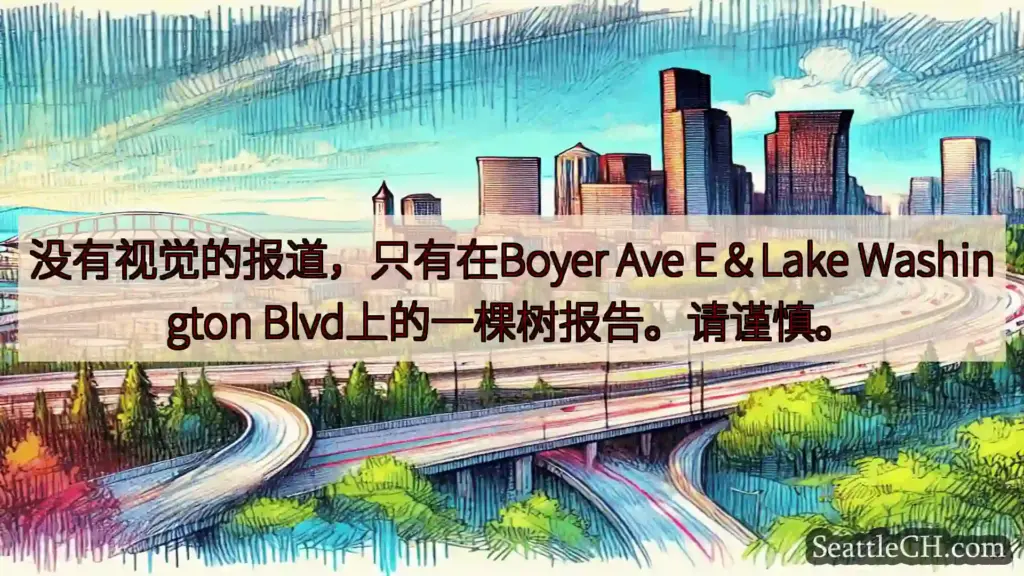 没有视觉的报道，只有在Boyer Ave E＆Lake Washington