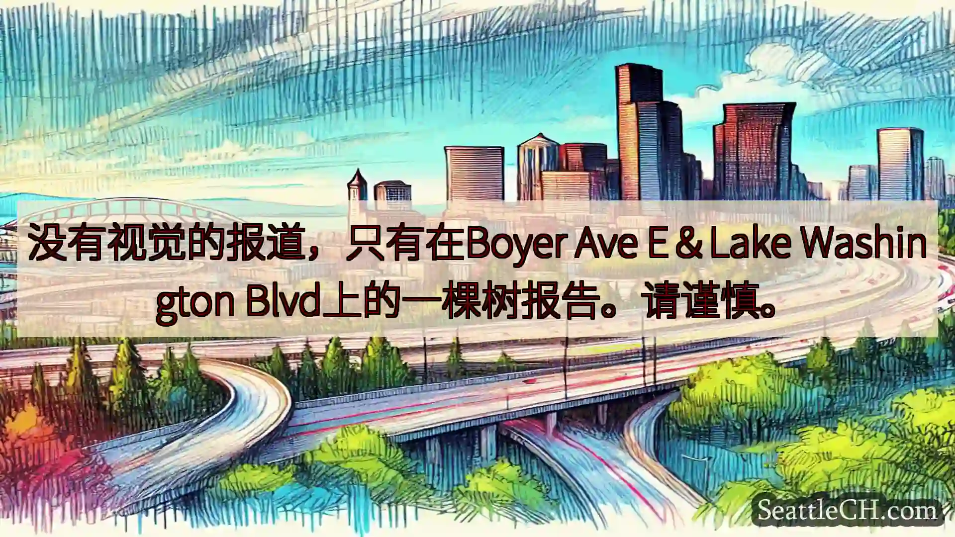 没有视觉的报道，只有在Boyer Ave E＆Lake Washington
