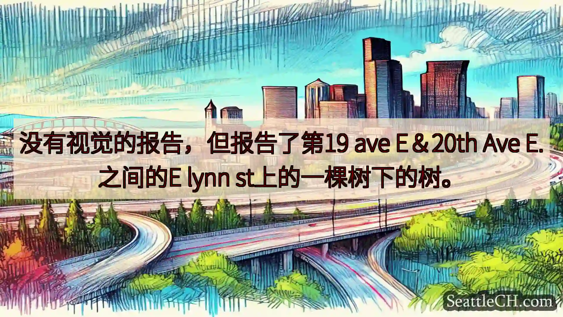 没有视觉的报告，但报告了第19 ave E＆20th Ave E.之间的E lynn