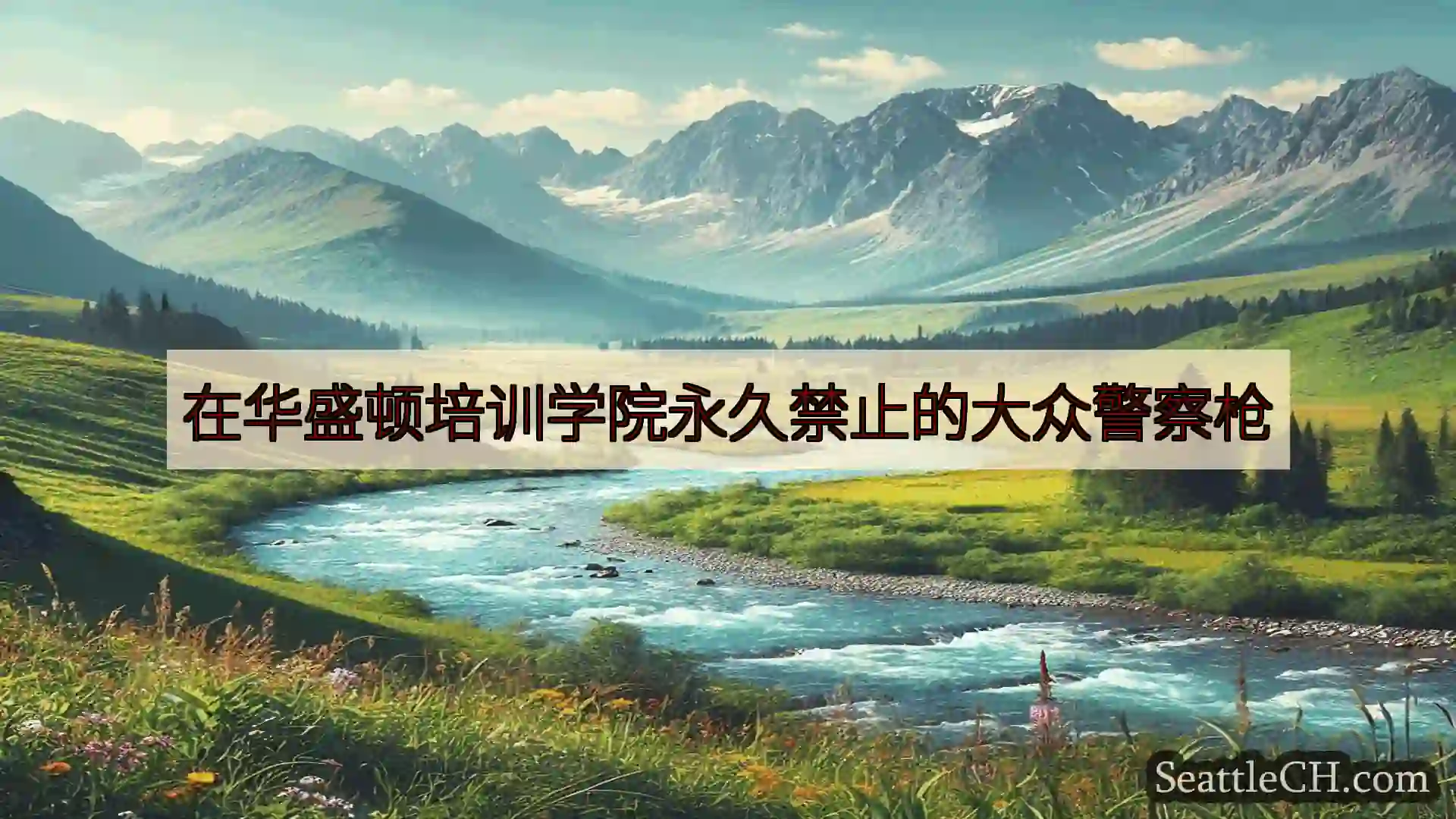 在华盛顿培训学院永久禁止的大众警察枪