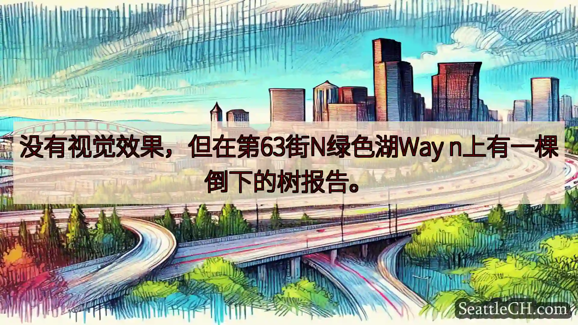 没有视觉效果，但在第63街N绿色湖Way n上有一棵倒下的树报告。