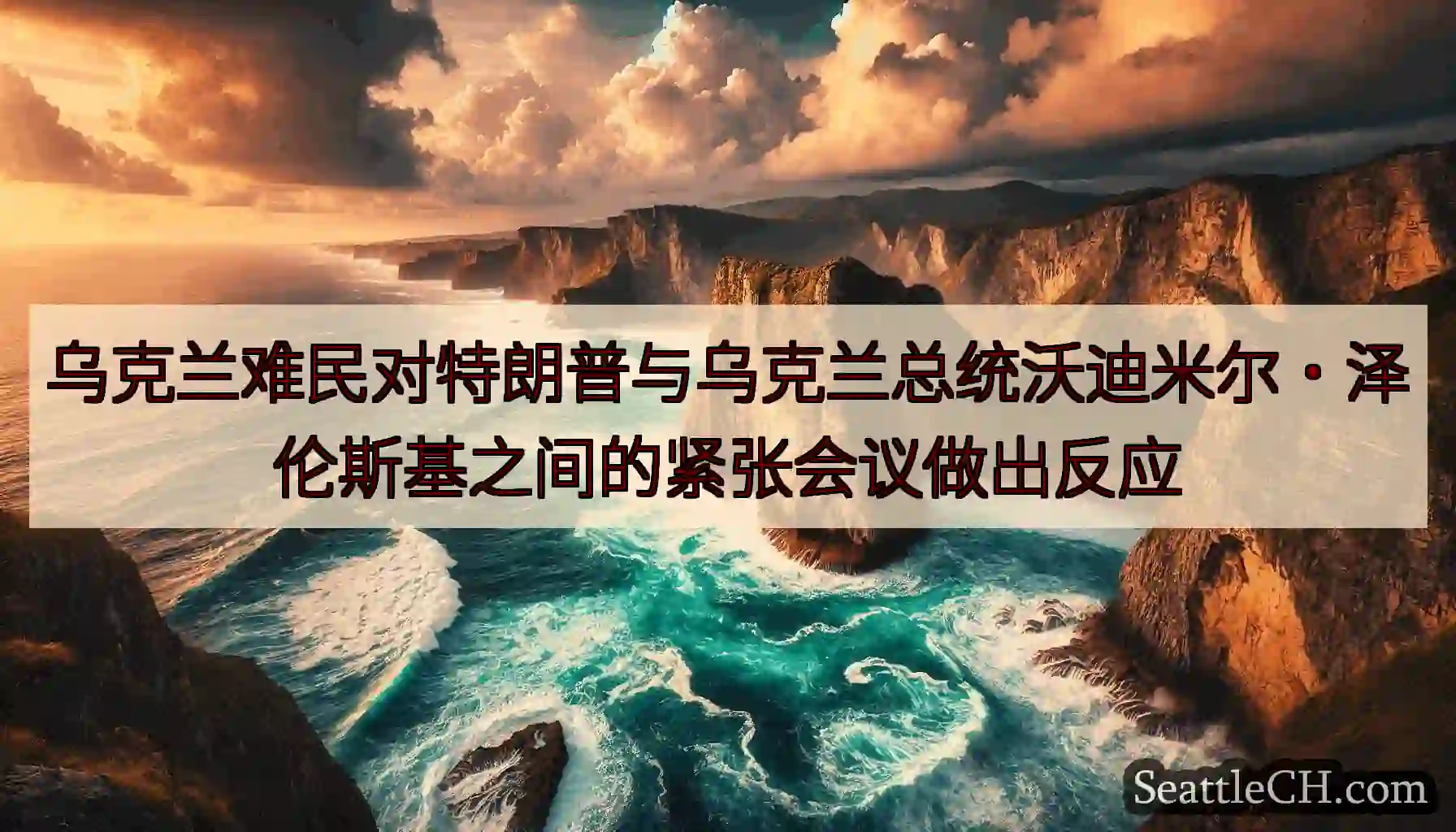 乌克兰难民对特朗普与乌克兰总统沃迪米尔·泽伦斯基之间的紧张会议做出反应