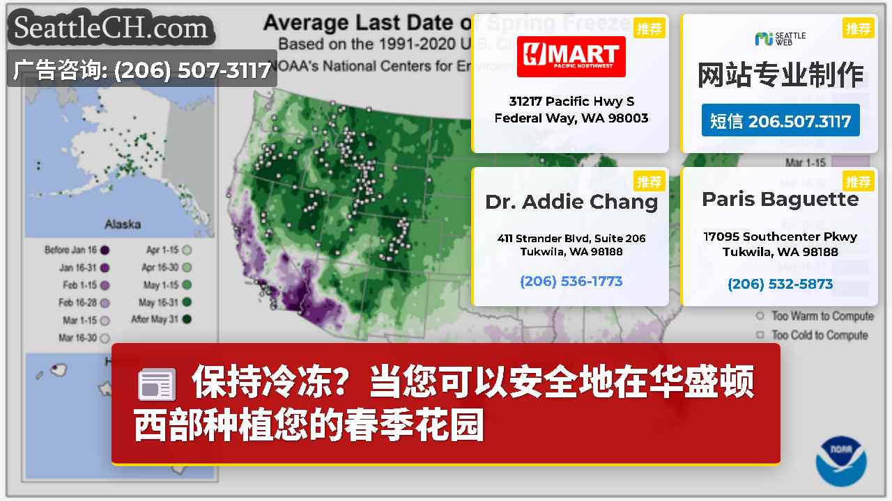 西雅图新闻 SeattleCH