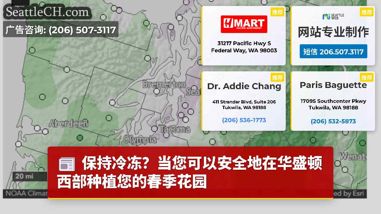西雅图新闻 SeattleCH