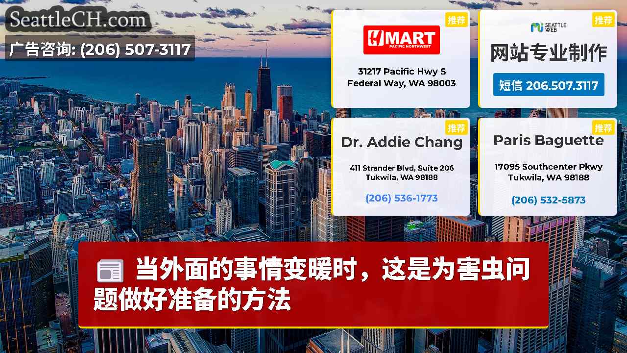 西雅图新闻 SeattleCH