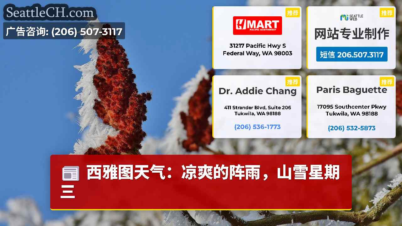 西雅图新闻 SeattleCH