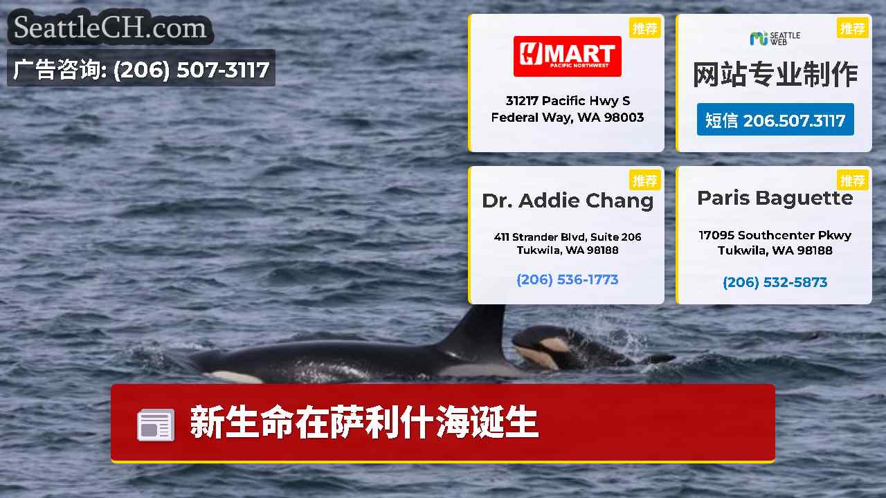 西雅图新闻 SeattleCH