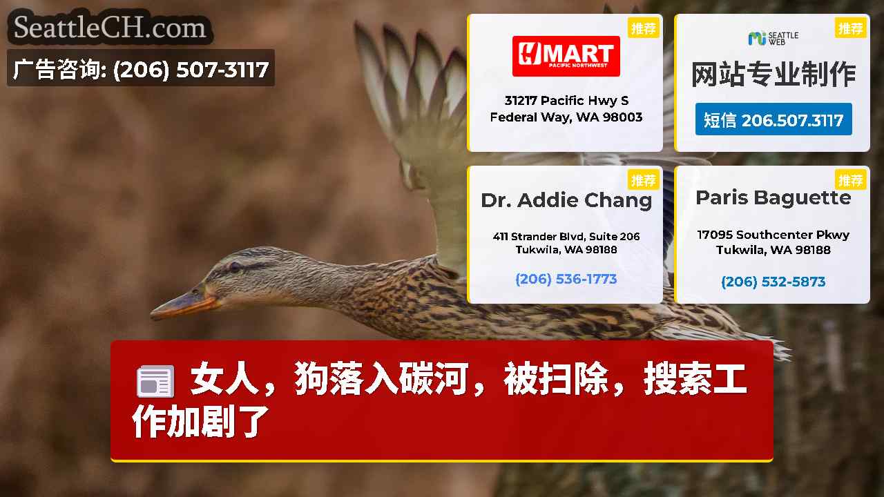 西雅图新闻 SeattleCH