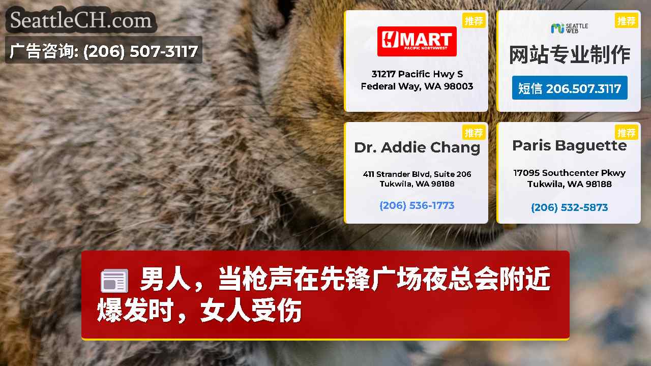 西雅图新闻 SeattleCH