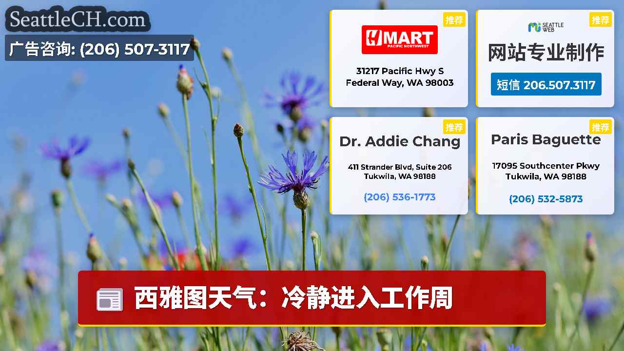 西雅图新闻 SeattleCH