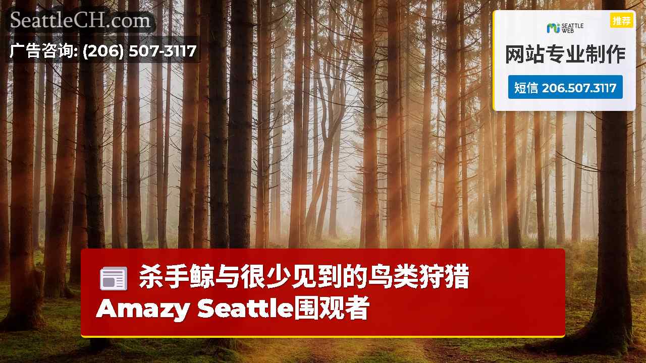 西雅图新闻 SeattleCH
