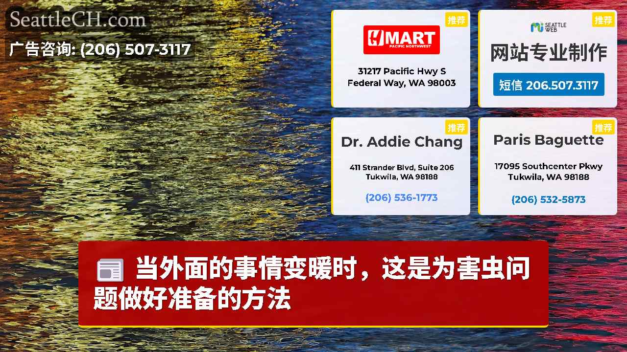 西雅图新闻 SeattleCH