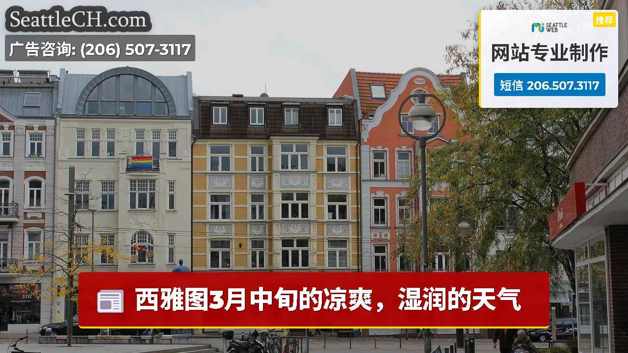 西雅图新闻 SeattleCH