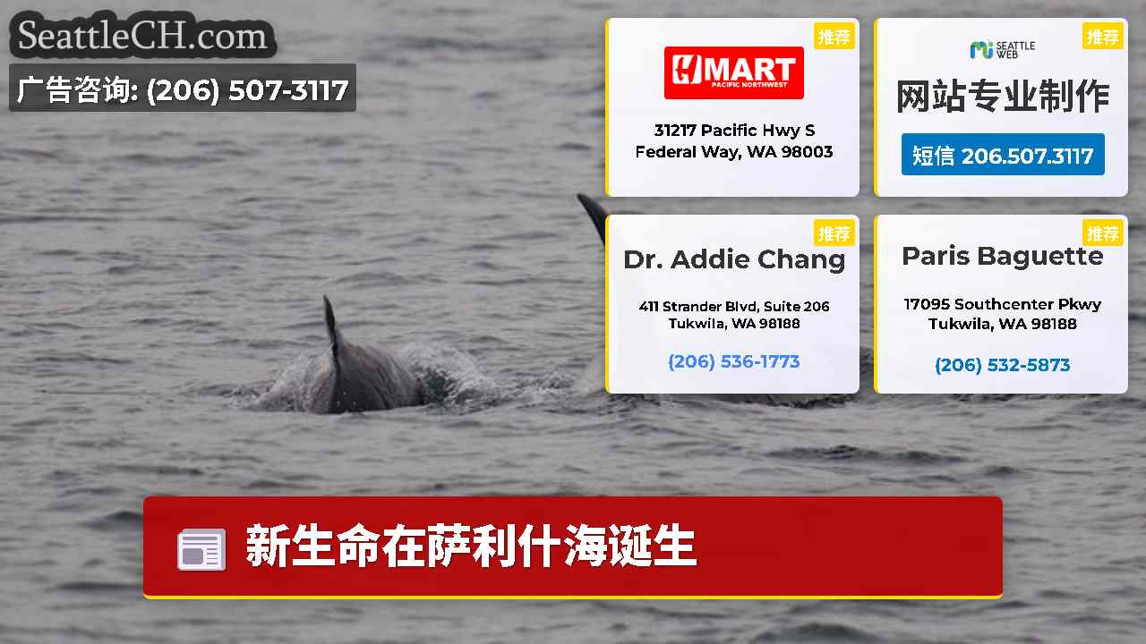 西雅图新闻 SeattleCH