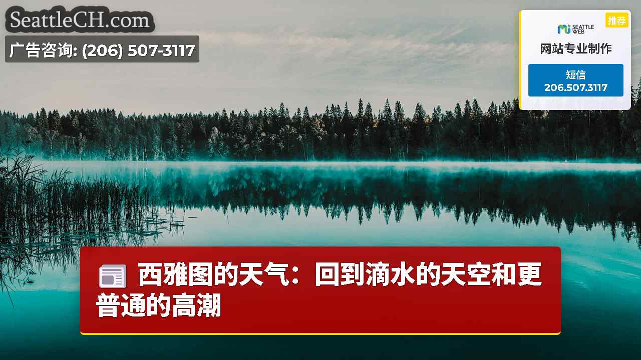 西雅图的天气：回到滴水的天空和更普通的高潮