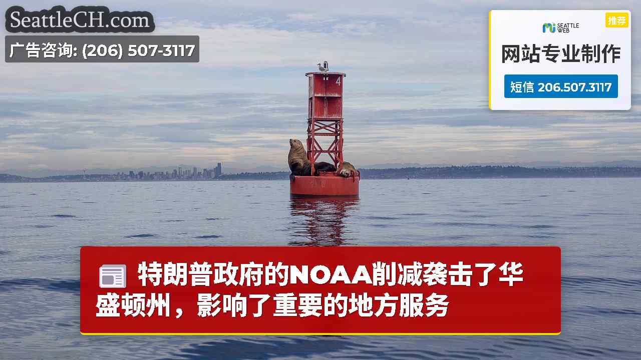 西雅图新闻 SeattleCH