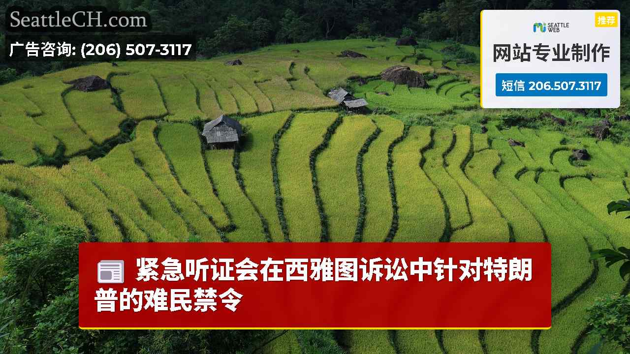西雅图新闻 SeattleCH