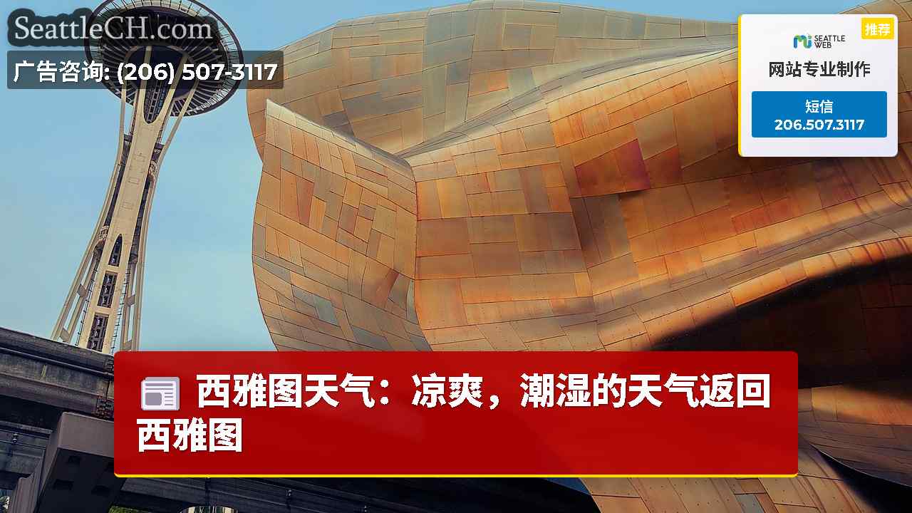 西雅图天气：凉爽，潮湿的天气返回西雅图