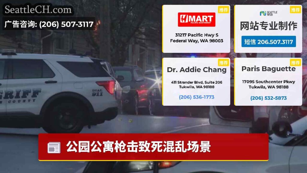 公园公寓枪击致死混乱场景
