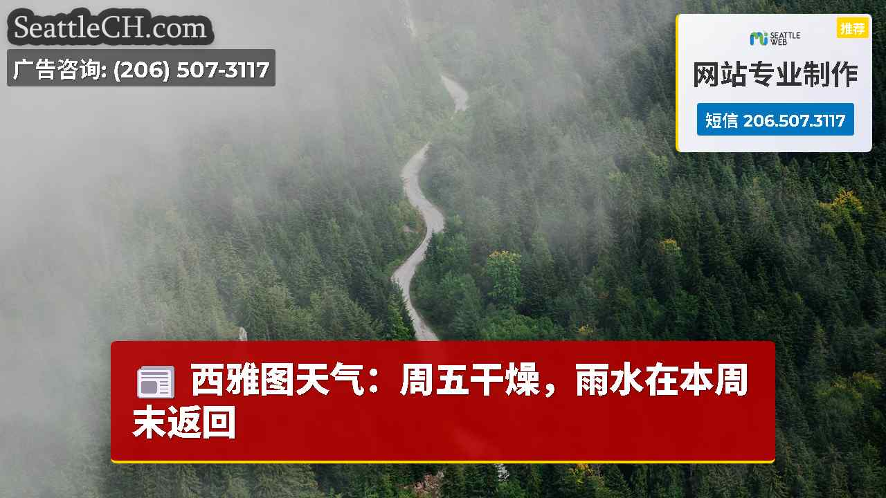 西雅图新闻 SeattleCH